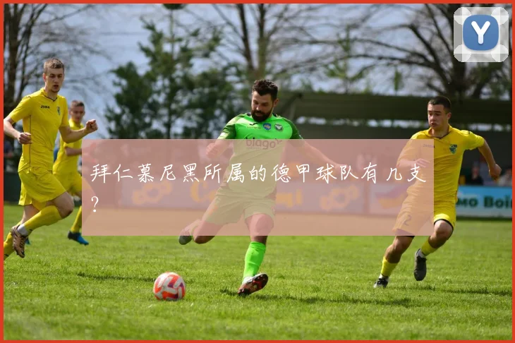 拜仁慕尼黑所属的德甲球队有几支？