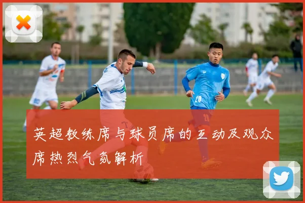 英超教练席与球员席的互动及观众席热烈气氛解析