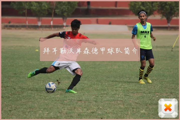 拜耳勒沃库森德甲球队简介